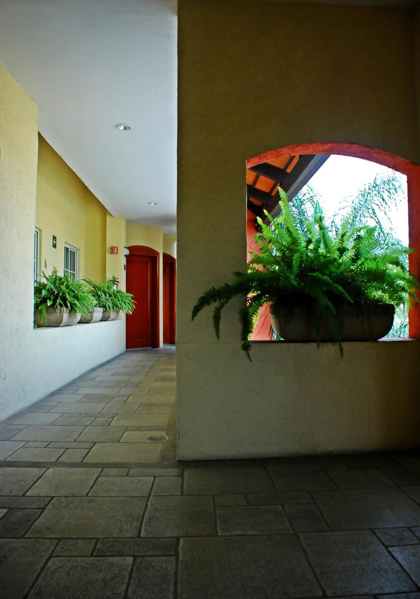 Aurea Hotel And Suites Zapopan Extérieur photo